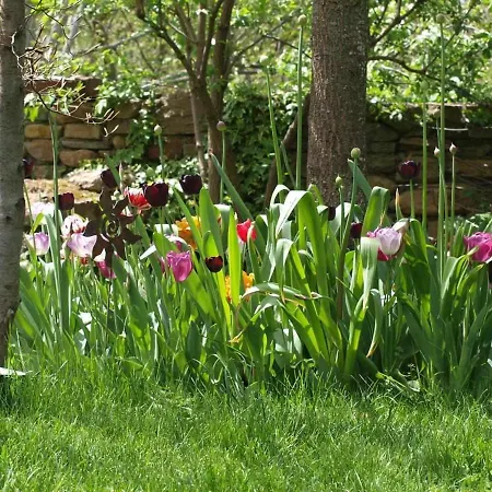 Casapirineos Venkovský dům *