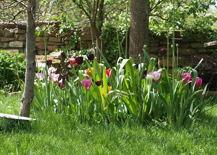 Casapirineos Lantställe *